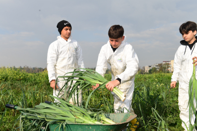 Tarladan sofraya doğallık: Osmangazi’nin organik mahsulleri Kent Lokantaları’nda!