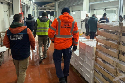 Bursa Balık Hali’ne şafak operasyonu: 615 kilogram yavru balığa el konuldu!