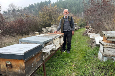 Bursa’da Arıcılık krizi: Bilinçsiz ilaçlama milyonlarca arıyı öldürdü