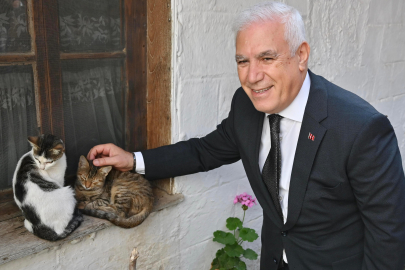 Bursa Büyükşehir’de can dostlara umut olan çalışmalar