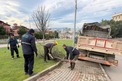 Bursa’yı lodos vurdu, Osmangazi ekipleri teyakkuzda: Devrilen ağaçlara anında müdahale