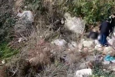 Balıkesir'de kayıp olarak aranıyordu: Mersin'de cesedi bulundu