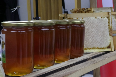 Ilgaz balı dünyanın en pahalı balı olarak Guinness Rekorlar Kitabı'na girdi