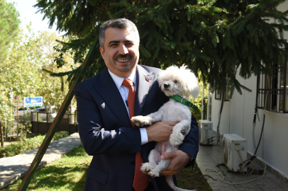 Yıldırım’da can dostlarına kış kalkanı: 100 yeni kedi evi muhtarlıklara teslim edildi!