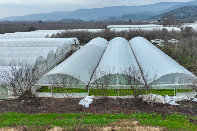 Gürsu’da lodosun yaraları sarılıyor: Büyükşehir’den sera üreticisine tam destek