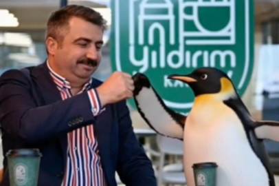 Oktay Yılmaz’dan gülümseten Penguen paylaşımı