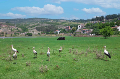 Hamzabey’de doğa ve tarih buluşuyor