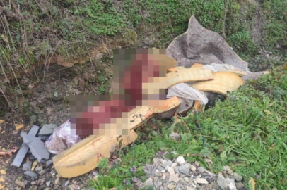 Kemikleri bırakıp uzaklaştılar ama kaçamadılar: 5 at kurtarıldı, 2 kişi gözaltına alındı