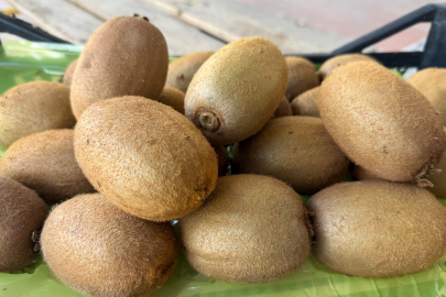 "220 Gram Kivi mi Olur?