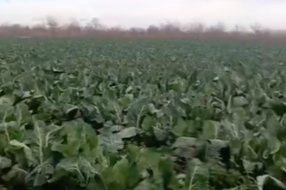 Bursa’ya 3 günde 1 aylık yağış düştü! Karacabey Ovası göle döndü...