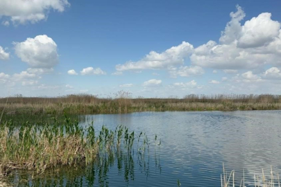 Sultan Dağları’na "Beyaz" umut