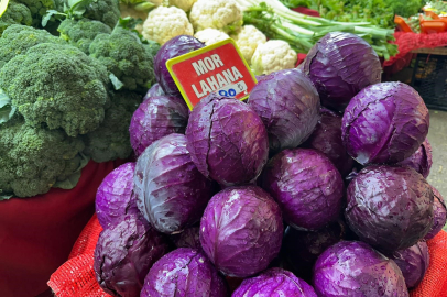 Tarlada 5 lira, pazarda 80 lira! 16 katlık fiyat farkı üreticiyi isyan ettirdi!