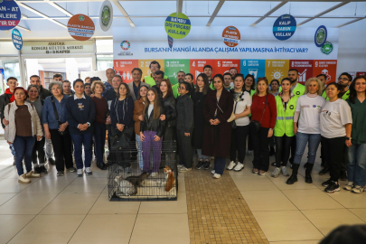 Bursa’da Dünya Kediler Günü’nde 3 can dosta sıcak yuva
