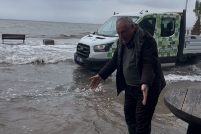 Gemlik’te deniz taştı, sahili balıklar bastı: "Birazdan balıklar da gelir" dedi, gerçek oldu!