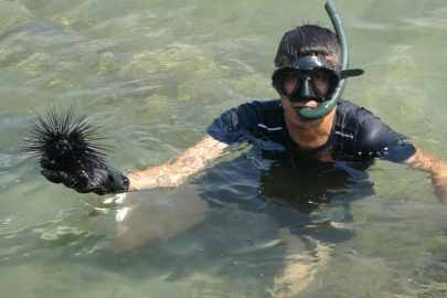 Denizkestanesi kararı küçük balıkçıyı değil, birkaç ihracatçıyı ihya eder!