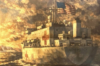 ABD'den Grönland'a hastane gemisi