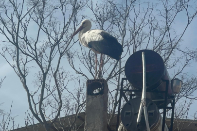15 yıllık dostlukta geri sayım: Yaren Leylek’in eşi yuvaya kondu, Adem Yılmaz yollara bakıyor