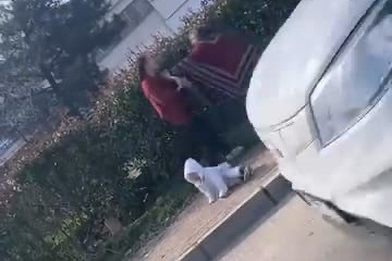 Bursa'da vicdanları yaralayan görüntü! Kavga ederken bebeği yere düşürdüler