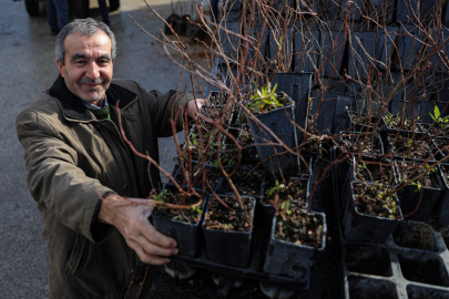 Büyükşehir’den kırsala can suyu: Binlerce fide ve fidan dağıtıldı
