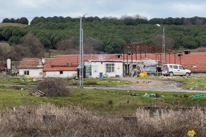 Çiftlik evinde dehşet: Tartıştığı kişiye testereyle saldırdı