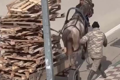 Karacabey’de ata aşırı yük tepkisi: O anlar kamerada