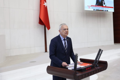 Bursa Milletvekili Pala uyardı: "İklim krizi öldürüyor, Bakanlık sessiz"