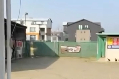 Gemlik’te barınak önünde gece yarısı gerginliği! İçeriden gelen acı çığlıklar hayvanseverleri sokağa döktü