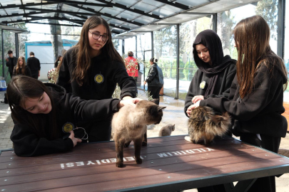 Patili dostlara gençlik ziyareti: Yıldırım’da anlamlı gün