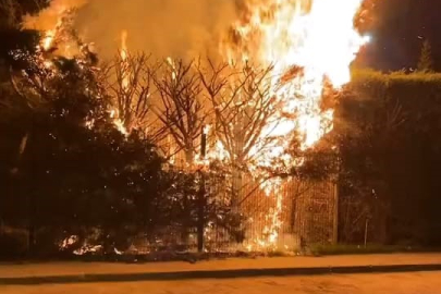 Botanik Park’ta gece yangını: Ağaç alevlere teslim oldu