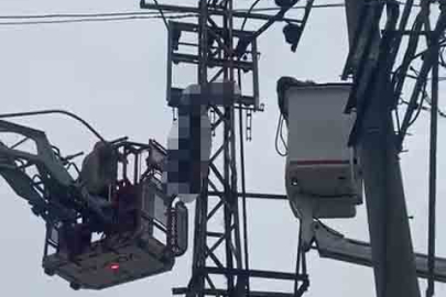 Hırsızlık için çıktığı elektrik direğinde can verdi