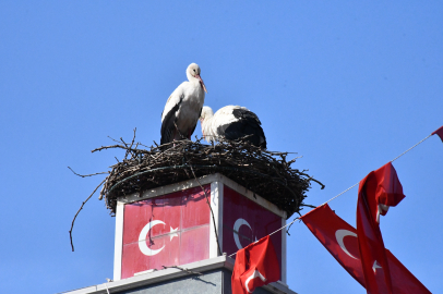 Can ve Canan ikinci yılında da İznik’te!