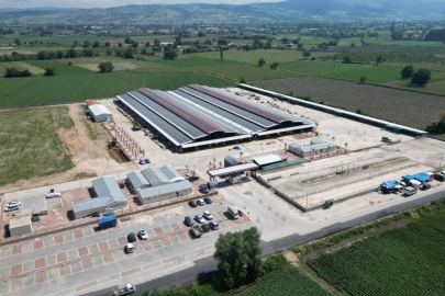 İnegöl Hayvan Pazarı’nda kotra ihalesi 8 Nisan’da: Geri sayım başladı!