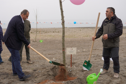 İznik’e yeni yaşam alanı: Yürüyüş parkuru ve mesire alanı geliyor