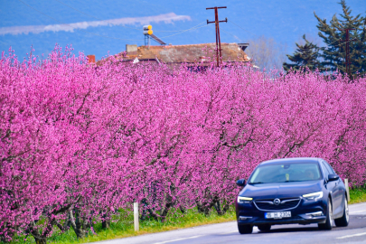 İznik’te "Pembe" rüya!