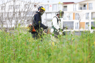 Osmangazi’de yangın ve haşereye karşı "Ot" önlemi: Yaz sonuna kadar sürecek!