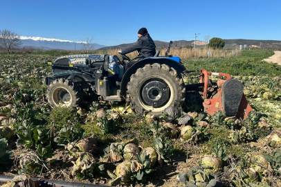 Tarlada 8, markette 100 Lira: Yenişehirli çiftçi isyan etti!