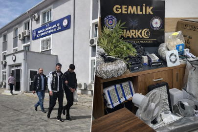 Evde kenevir serası kurmuşlar: Gemlik’te operasyon