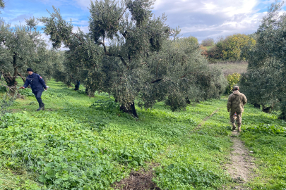 Mudanya'da 4 aydır dinmeyen acı: Mustafa abi nerede?