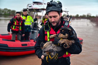 Büyükşehir'den hayat kurtaran operasyon: "Cesur" ve "Zeytin" suların arasından alındı!
