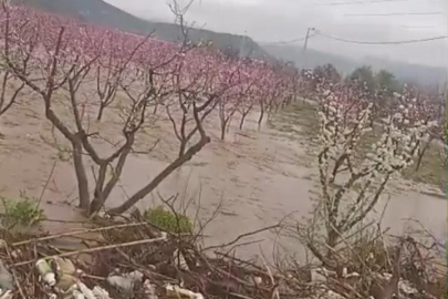 Kuraklık bitti, taşkın başladı: İznik’te sağanak yağış tarımı vurdu!