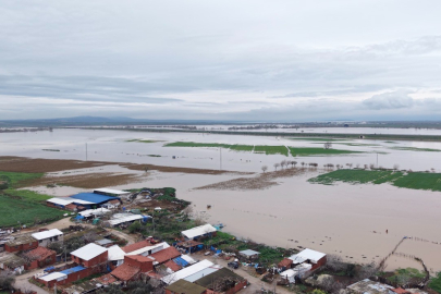 Salçalık Domates ve Buğday sular altında: Karacabey çiftçisi destek bekliyor!