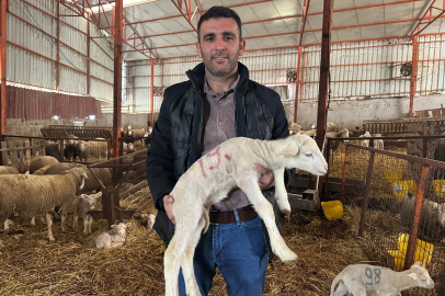 Bir koça 1 milyon TL vermişti: "Türkiye’nin sürülerinde imzamız var"