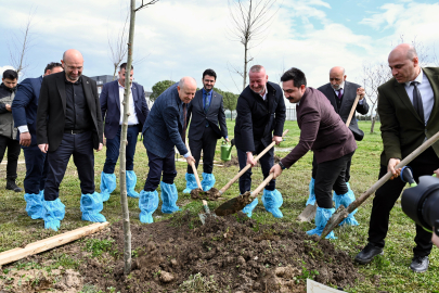 Bursa'nın 700. yılında Karacabey'e 77 çınar mirası!