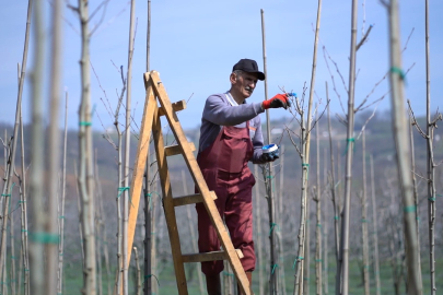 Kestel’de bahar temizliği: İlçe baştan aşağı yenileniyor