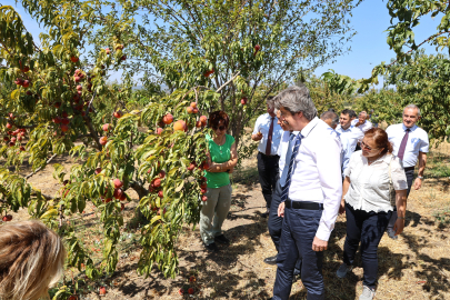 BUÜ, Ziraat ve Ormancılık alanında dünyada ilk 500’de!