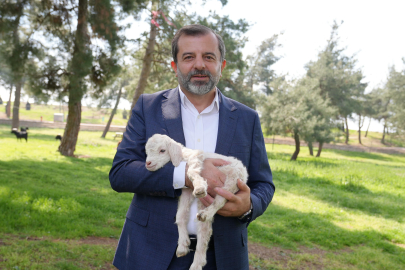 Gürsu’da butik hayvanat bahçesi: Yeni üyeler görücüye çıktı