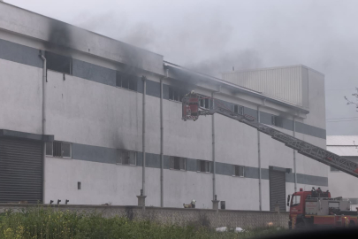 Mobilya fabrikası alevlere teslim! İş yeri sahibi sinir krizi geçirdi