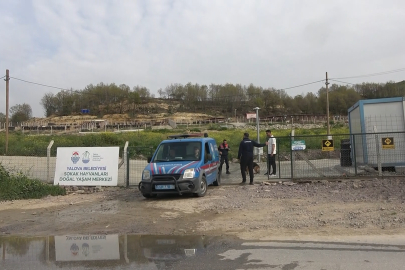 Hayvanseverler suç duyurusunda bulundu: Yalova Belediyesi barınağında korkunç iddia