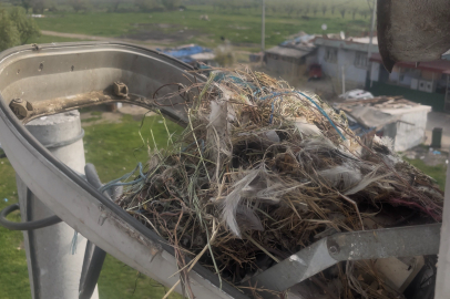 UEDAŞ'tan örnek hareket: Arıza giderildi, yuva korundu