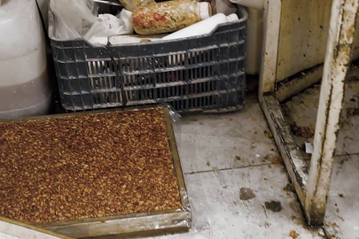 Kötü koku imalathaneyi ele verdi: Müstakil evde mide bulandıran görüntü!